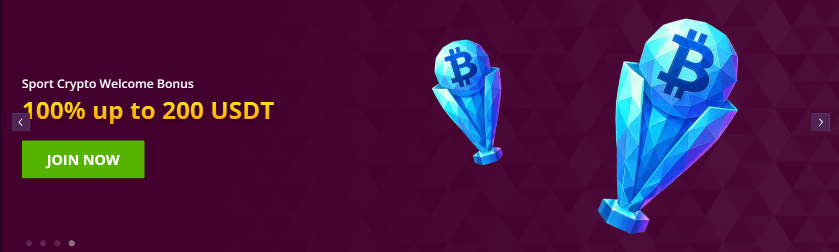 Bitcoin casino website displayed with two gold coins prominently featured in the foreground.